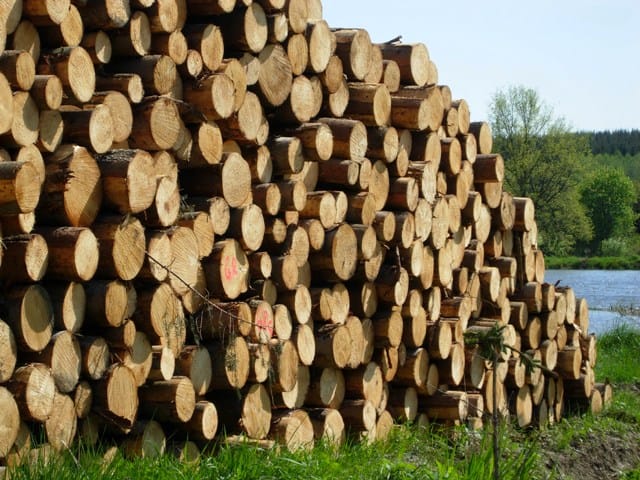 Holzmarktbericht der LKÖ Februar 2023